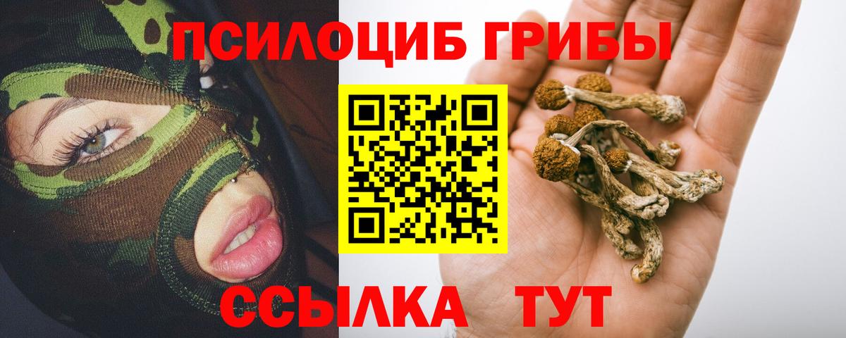 Галлюциногенные грибы Psilocybine cubensis Гулькевичи