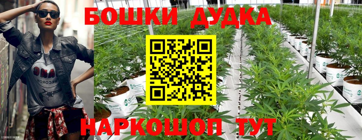 Канабис сатива Гулькевичи